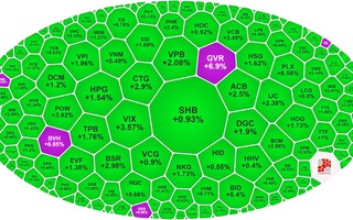 Chứng khoán Việt vào nhóm tăng mạnh nhất thế giới ngày 7-1