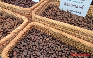 Giá cà phê hôm nay 7-1: Bật tăng, lấy lại mốc quan trọng