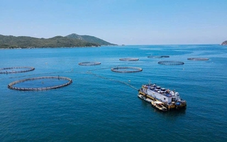 Không thể dựa mãi vào lợi thế có sẵn