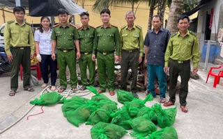 Công an thông báo tìm chủ sở hữu của 22 con chồn hương