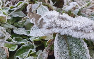VIDEO: Băng giá xuất hiện tại một tỉnh miền Trung khi nhiệt độ xuống âm 5 độ C