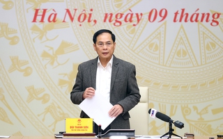 Phó Thủ tướng: Buôn lậu, hàng giả chưa được phát hiện kịp thời gây lo lắng, bất an