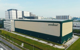 Singapore thúc đẩy nông nghiệp thẳng đứng