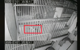 Khi hàng xóm thành... đối thủ