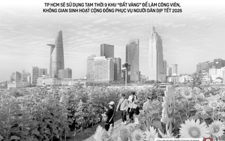 Báo in ngày 10-1: Đánh thức “đất vàng” phục vụ người dân