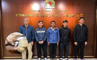 Khởi tố 5 người đàn ông gom hơn 1 tấn heo mắc bệnh dịch tả bán kiếm lời