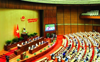 Những cải cách lịch sử