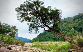 Vẻ đẹp hoang sơ tại Vườn quốc gia Vũ Quang