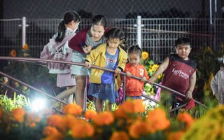 Xã có dân số đông thứ 10 cả nước rộn ràng khai mạc Hội hoa xuân