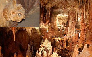 Hộp sọ làm lung lay thuyết "loài người bắt nguồn từ châu Phi"