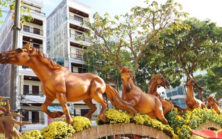 CLIP: Chiêm ngưỡng 8 linh vật ngựa cưỡi trên sóng hoa ở Cần Thơ