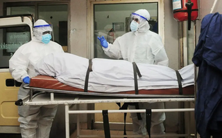 Virus Nipah tử vong tới 75%: Hướng dẫn điều trị mới nhất