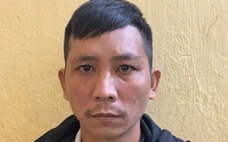 Khởi tố vụ “phù phép” mật ong nuôi thành mật ong rừng để trục lợi