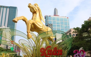 Phó Chủ tịch UBND TPHCM thị sát Đường hoa Nguyễn Huệ trước giờ G