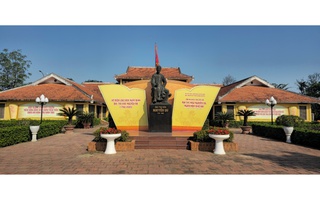 Cận cảnh 2 cây cổ thụ hơn 300 năm tuổi tại Khu lưu niệm Nguyễn  Du