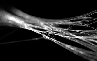 Vì sao tơ nhện chắc hơn thép?