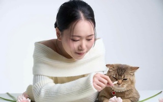 Khách sạn chó mèo "cháy phòng" dịp Tết , chủ chi tiền triệu gửi thú cưng