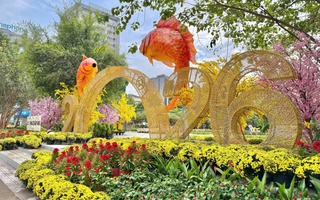 TPHCM rực rỡ sắc màu những ngày Tết đến Xuân về