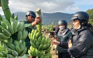 Nhộn nhịp chợ chuối mật mốc lớn nhất miền Trung