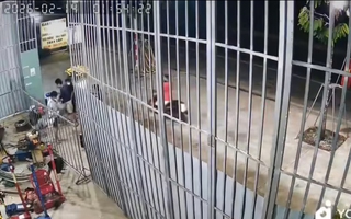 Nhóm 8 thanh niên đuổi chém, cướp tài sản của người đàn ông trên đường về quê