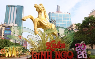 TPHCM: Đi xem Đường hoa Nguyễn Huệ gửi xe ở đâu?