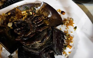 3 người ở Cà Mau nhập viện sau khi ăn tối tại quán ốc