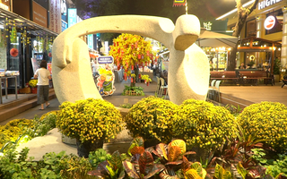 Độc đáo không khí Tết ở Đường Sách TPHCM