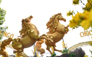 Cận cảnh đường hoa ven sông Đồng Nai "vạn người mê"