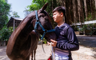 VIDEO: Thủ phủ chiến mã vang bóng một thời bây giờ ra sao?