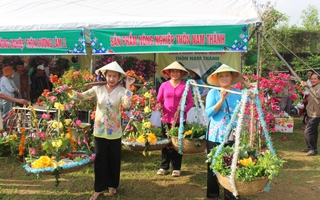 Cuộc thi "Tết xanh": Hơi thở "Tết xanh" giữa lòng Đà Nẵng