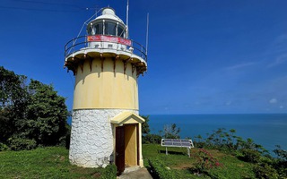 Canh “mắt biển” trăm tuổi trên đỉnh Sơn Trà