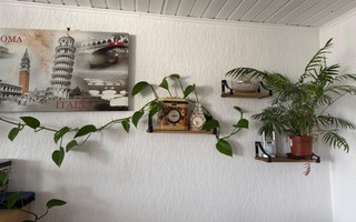 Cuộc thi "Tết xanh": Giữ lửa Tết nơi xứ người