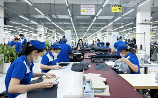 Nhìn lại một năm thăng trầm thị trường việc làm