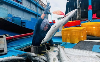 Chuyến biển xuyên Tết, ắp ụ cá tôm