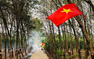 Cuộc thi "Tết xanh": Bỏ điện thoại xuống, tôi ra vườn nhặt nắng gom Xuân