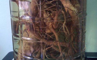 Hai người tử vong sau khi uống rượu ngâm, Bộ Y tế chỉ đạo khẩn