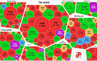 Nhiều cổ phiếu tăng trần sao VN-Index vẫn giảm hơn 22 điểm?