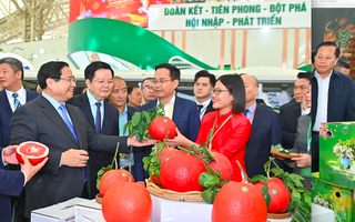 Bước chạy đà cho thị trường Tết