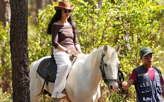 Trải nghiệm cưỡi ngựa giữa rừng già Măng Đen