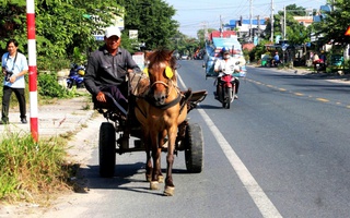 Tiếng thở dài của những nài ngựa cuối cùng ở vùng Bảy Núi