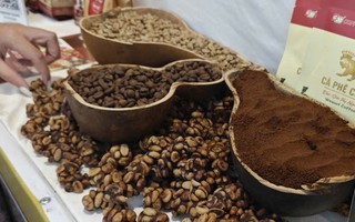 Giá cà phê hôm nay 21-2: Chốt tuần giảm, sắp chạm sàn