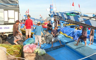 CLIP: Mở biển đầu Xuân, ngư dân Lâm Đồng kỳ vọng mùa cá bội thu
