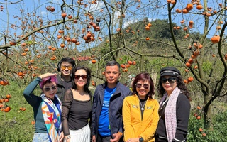 Những điểm đến được yêu thích đầu năm Bính Ngọ