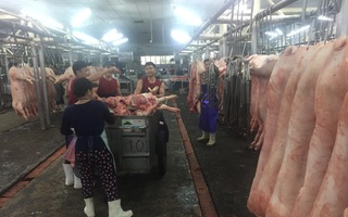 Giá heo hơi hôm nay, 23-2: Lượng heo về chợ giảm mạnh