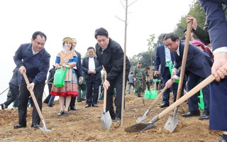 Chủ tịch nước Lương Cường kêu gọi mỗi người dân trở thành một "đại sứ xanh"