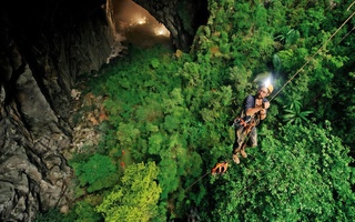 Gần 4.400 loài động, thực vật được ghi nhận ở Phong Nha - Kẻ Bàng