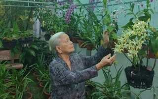 Cuộc thi "Tết xanh": Những sắc màu Tết của tôi