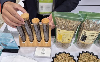 Giá cà phê hôm nay 26-2: Robusta tăng tiếp, Brazil khan hàng