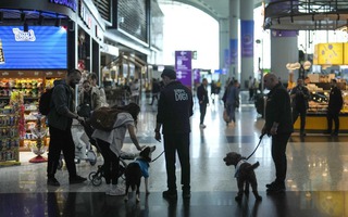 Khi sân bay thành "máy kéo" kinh tế siêu hạng