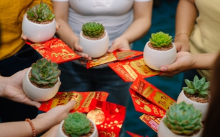 Một tập đoàn BĐS tại Đà Nẵng "lì xì sức khỏe" cho nhân viên đầu năm mới